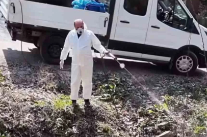 Sinekler Nefes Aldırmıyor, Vatandaş Çileden Çıktı!