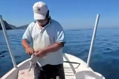 Zonguldak'ta balık bolluğu: Amatör balıkçılar tek çaparide kovayı doldurdu!