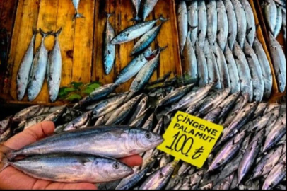 Çingene sokağa düştü!