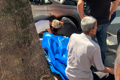Gazipaşa Caddesi'nde kedi kurtarma operasyonu!