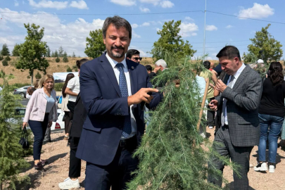 Milletvekili Eylem Ertuğrul fidan dikti!