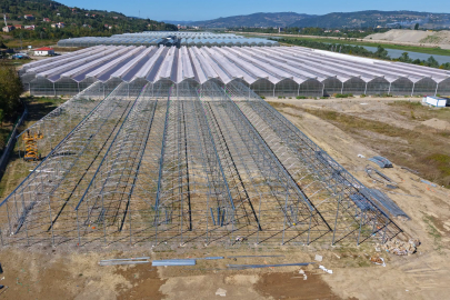 ÇAYBEL, Tarım OSB’de süs bitkisi yatırımıyla yıldızlaşıyor!