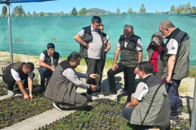 Zonguldak'ta geleceğin ormanlarına 4,5 milyon fidan!