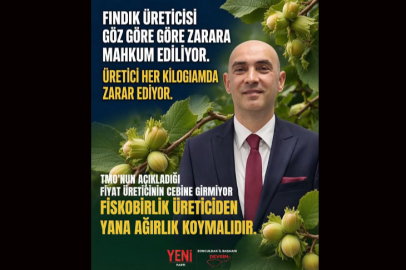 Fındık Üreticisi Göz Göre Göre Zarara Mahkûm Ediliyor!