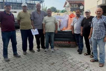 Alaplı’da Örnek Dayanışma: Her Evden 10 Kilo Fındık, Cenazelere Destek