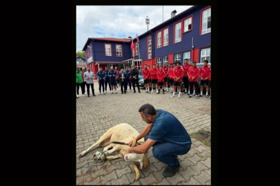 Zonguldakspor kurban kesti!