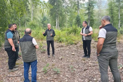 Yangının İzleri Siliniyor